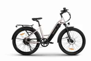 HIKOBIKE SCOUT